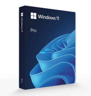 Windows-11-Pro.jpg
